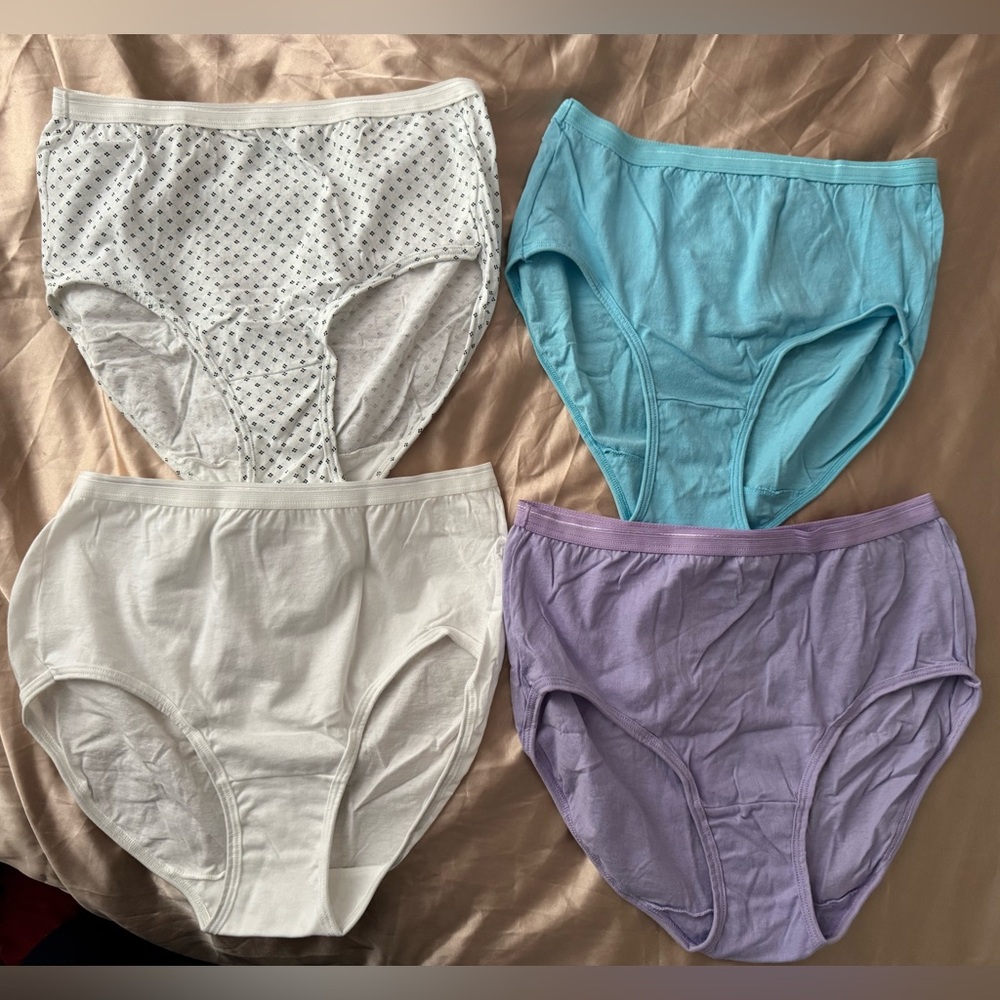 Fruit of the Loom Set of Four Women's Briefs in Assorted Colors. Size 6 (Medium)